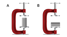 Two holdfasts with metal bars